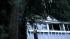 Three trees came crashing down on a house in...