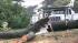 80-foot Monterey pine tree blocks traffic on...