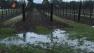 Wine Country happy to see rain