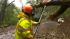 Storm saturates hillsides :: A public works employee clears a fallen tree