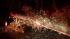Storm knocks down tree in Santa Rosa ::