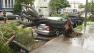 Storm-toppled tree in San Francisco damages car