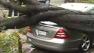 Storm-toppled tree damages car in San Francisco