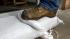 Storms prompt flood concerns in Petaluma :: Petaluma residents prepare for flooding