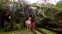 Tree falls in San Francisco backyard