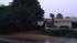 Tree down in Benicia