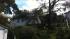 Storm damage in El Cerrito