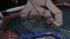 High winds swept patio furniture into a swimming...