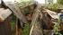 Storm-toppled tree crushes carport and cars in...
