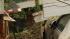 Storm-toppled tree crushes carport and cars in...