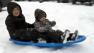 Kids sledding in snowy Sierra
