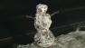 Snowman in the Bay Area