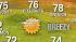 ABC7 AccuWeather forecast