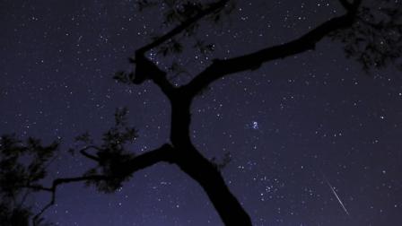 In this photo taken with long shutter speed, a meteor sparks while entering the earths atmosphere behind an olive tree during the Perseids Meteor Shower, in Fanos village, central Greece, on Saturday, Aug. 10, 2013. The Perseids are a prolific meteor shower associated with the comet Swift-Tuttle. The Perseids shower is visible from mid- July each year, with the peak in activity being between Aug. 9 and 14 depending on the particular location of the stream.(AP Photo/Petros Giannakouris)