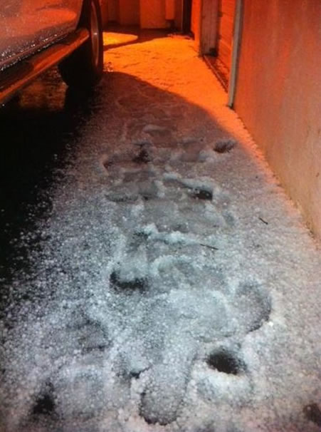 uReport photo of hail