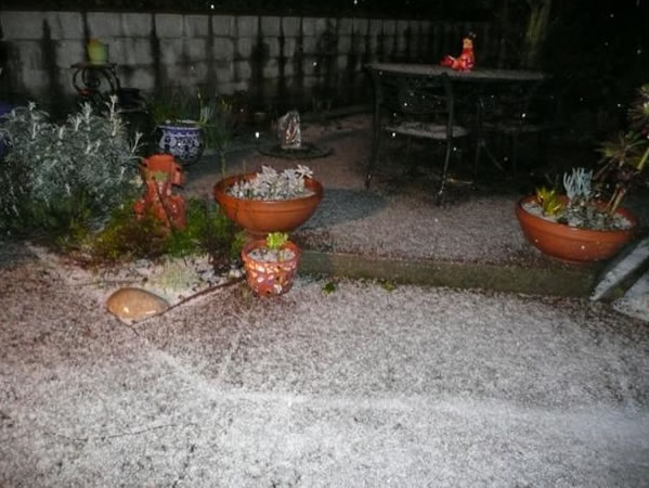 uReport photo of hail