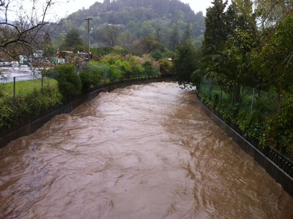 Creek view from College of Marin, March 24, 2011...