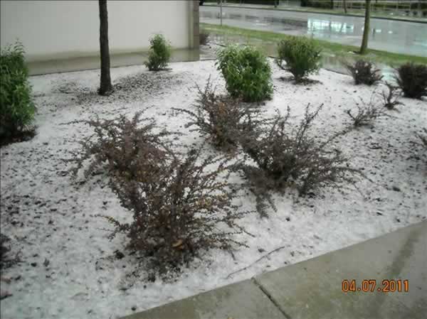 An isolated thunderstorm brings a mix of hail...