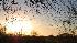 Weather photos