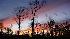 Weather photos