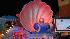 Images from Mardi Gras! Galveston 2009 (Photo...