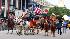 Images from the 2009 Houston rodeo parade...