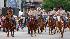 Images from the 2009 Houston rodeo parade...