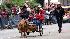 Images from the 2009 Houston rodeo parade...