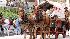 Images from the 2009 Houston rodeo parade...