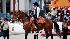 Images from the 2009 Houston rodeo parade...