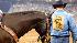 Images from Rodeo Houstons opening night (Photo:...