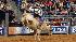 Images from Rodeo Houstons opening night (Photo:...