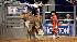 Images from Rodeo Houstons opening night (Photo:...