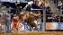 Images from Rodeo Houstons opening night (Photo:...