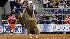 Images from Rodeo Houstons opening night (Photo:...