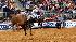 Images from Rodeo Houstons opening night (Photo:...