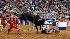 Images from Rodeo Houstons opening night (Photo:...