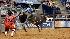 Images from Rodeo Houstons opening night (Photo:...
