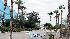 Several Moody Gardens attractions are currently...