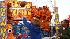 Photos from the Houston Livestock Show and Rodeo...
