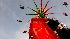 Photos from the Houston Livestock Show and Rodeo...