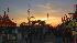 Photos from the Houston Livestock Show and Rodeo...