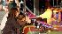Photos from the Houston Livestock Show and Rodeo...