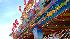 Photos from the Houston Livestock Show and Rodeo...