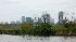 The hidden view of Houston from Buffalo Bayou....