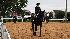 Photos from the Pin Oak Charity Horse show at...