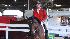 Photos from the Pin Oak Charity Horse show at...