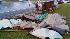 Photos from storm damage in Brenham, TexasPhoto...
