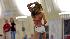 Houston Texans Cheerleader tryouts 2009 (Photo:...