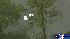 Residents in Bear Creek woke up to a lot of...